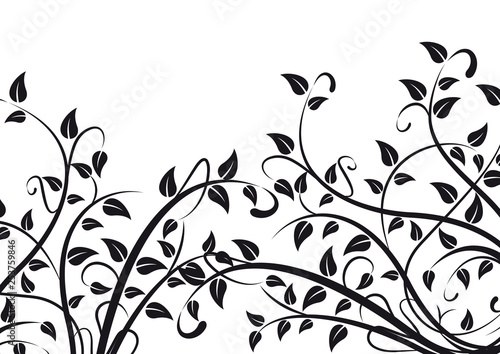 Cuadros en Lienzo Spring background concept. Plants and foliage on white
