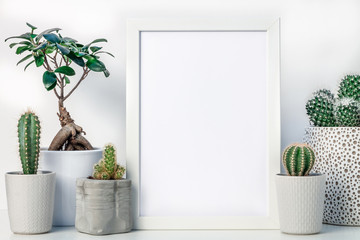 Wall Mural - Shelf at home against a white wall. Blank mockup frame with place for text or graphics. Cactus decoration in different pots and bonsai. Scandinavian style