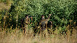 © be free - Hunters friends enjoy leisure. Teamwork and support. Activity for real men concept. Hunters with rifles in nature environment. Hunters gamekeepers looking for animal or bird. Hunting with friends