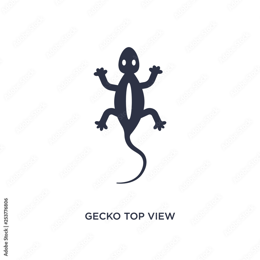 gecko top view shape icon on white background. Simple element ...