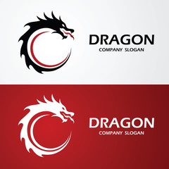 Wall Mural - Dragon logo vector