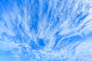 Canvas Print - cirrus clouds on blue sky