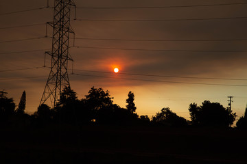 sunset in the forest