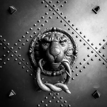 An Antique Door Handle In The Shape Of A Lion Head Holding A Snake In Its Mouth. Black And White.