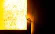 moth on the lamp late at night, a butterfly flying into the light