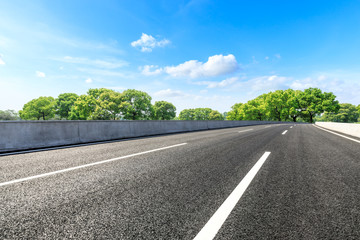 Asphalt road and green forest landscape in summer season