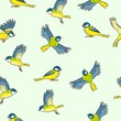 Comic style titmouse spring birds colorful seamless pattern