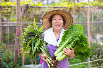 female Senior farmer with vegetables