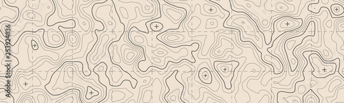 Fotografía Geographic topographic map grid