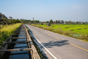 Wall Mural - The country view in Chiang Rai province