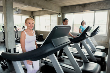 Wall Mural - Group friend of senior runner at gym fitness smiling and happy. elderly healthy lifestyle.