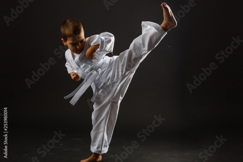 Fototapeta Karate  portret-malego-chlopca-szkolenia-karate-na-bialym-tle-na-szarym-tle