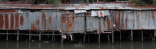Zinc House A Shabby Old Dilapidated Corrugated Iron Building On The Water. Bangkok, Thailand