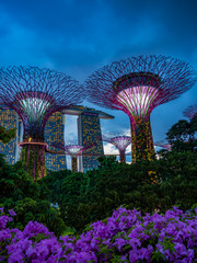 Sticker - Gardens by the bay in Singapore