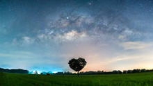 Milky Way Galaxy With Heart Shape Tree In Paddy Fields