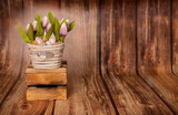 Fototapeta Tulipany - Wielkanocne tło