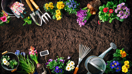 Canvas Print - Gardening tools and flowers on soil