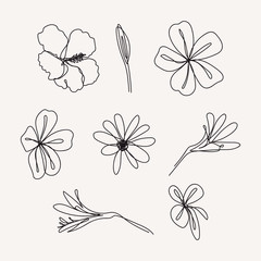 Wall Mural - Flowers continuous line drawings. One line . Hand-drawn minimalist illustration, vector.