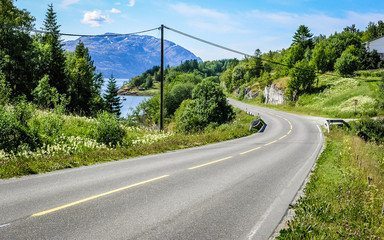 Wall Mural - Road in Norway going through the forest overlooking the fjord.