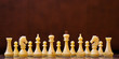 © Ксения Рыбка - White chess pieces on chessboard as a concept of uniformity and diversity
