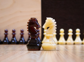 Black and white chess knights in opposition on a chess board