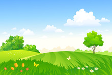 Vector Cartoon Drawing Of A Spring Pasture, Green Field Landscape
