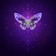 Vector illustration with hand drawn butterfly and Sacred geometric symbol against night starry sky. Abstract mystic sign.