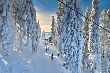 Chair lift in Poiana Brasov ski resort, Skiers and snowboarders enjoy the ski slopes in Poiana Brasov winter resort whit forest covered in snow on winter season