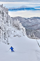 Skiers and snowboarders enjoy the ski slopes in Poiana Brasov winter resort whit forest covered in snow on winter season