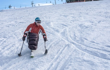 Disabled Athlete And  Winter Sport,  Handicapped Person And Mono Ski, Handicapped Athlete Goes Mono Ski Downhill Skiing