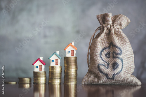 Cuadros en Lienzo planning savings money of coins to buy a home, concept for property ladder, mortgage and real estate investment