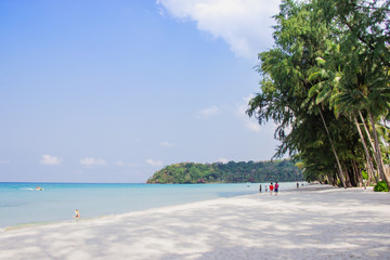 Tourist walk see the panorama of white sand beach with coconut palms taken on haad Klong Chao on tropical koh Kood island in Trat, Thailand.