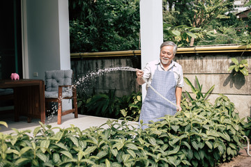 Senior man plant a tree at home