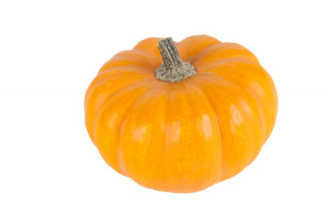 Pumpkin isolated on white background