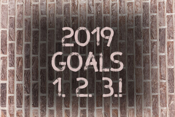 word writing text 2019 goals 1 2 3. business photo showcasing resolution organize beginnings future 