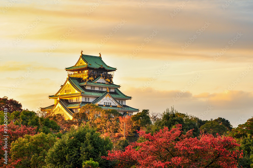 Burg Osaka Japan - obrazy, fototapety, plakaty 