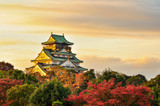 Fototapeta  - Burg Osaka Japan