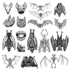 Large set of bats and vampires. Human lips with fangs, skeleton, bat skull and aggressive face or head. Open wings flying gothic monsters. Ink line engraving sketch in black. Vector.