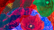 Artistic Digital Collage Of Colorful Blooms Close-up. Psychedelic Floral Background From Beautiful Common Poppy Flowers And Wheat Field. Fantastic Fresh Modern Style With An Expressive Surreal Effect.