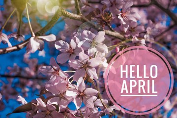 banner hello april. hi spring. hello april. welcome card we are waiting for the new spring month. th