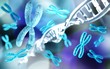 chromosome, DNA, RNA, 3D rendering	