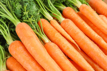 Ripe fresh carrots as background, space for text