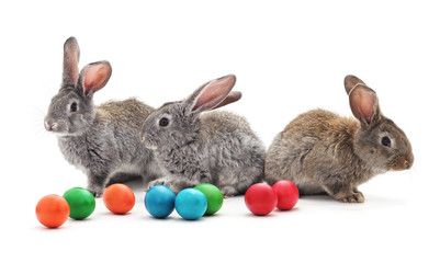 Canvas Print - Rabbits and Easter eggs.