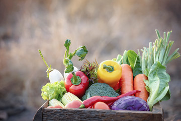 Fresh organic vegetables.