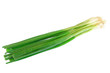 a bunch of green onion isolated on the white background