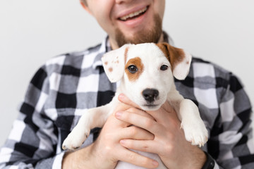 people, pets and animals concept - close up of young man holding jack russell terrier puppy on white background