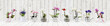 flowers in pots set isolated on white wood background, web banner with copy space for florist shop concept