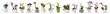 flowers in pots set isolated on white background, web banner with copy space for florist shop concept