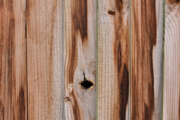 texture of wood