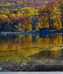 Poster - Golden Light Catotin State Park Maryland with concrete overlay